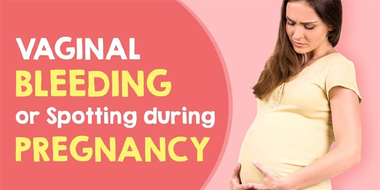 Bleeding and spotting during pregnancy